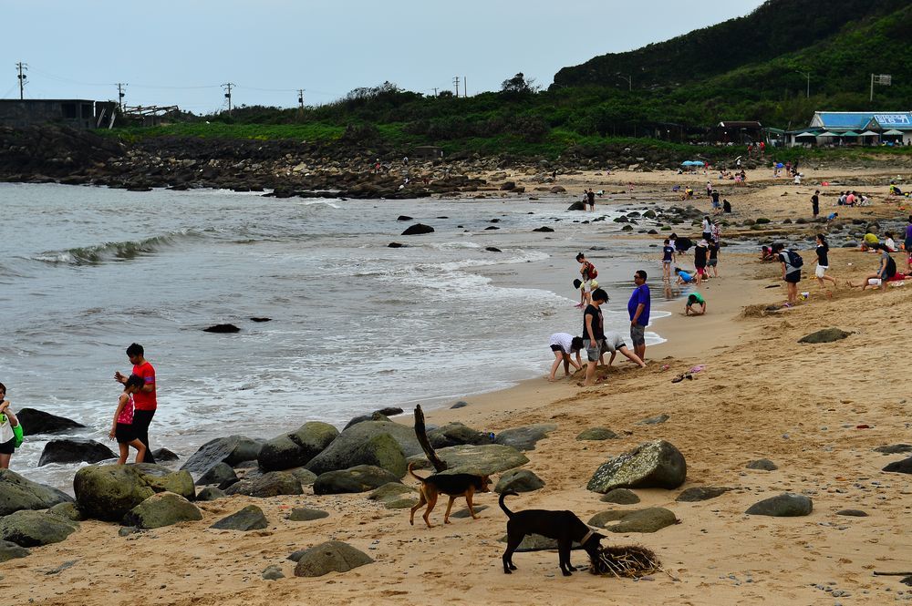 【贡寮】玩沙戏水踏浪.金沙湾海滨公园