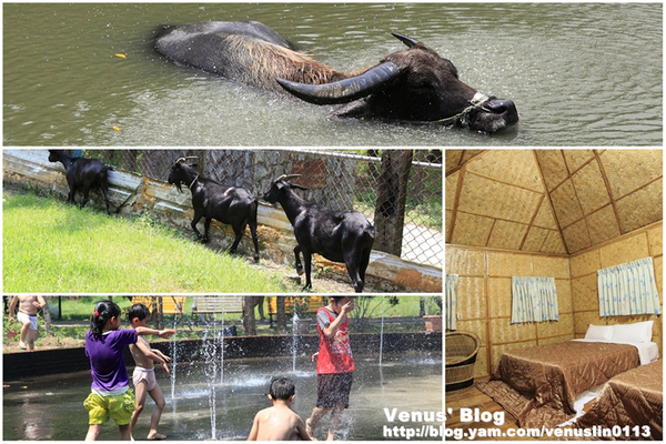 苗栗後龍 台灣水牛城一泊二食 輕旅行