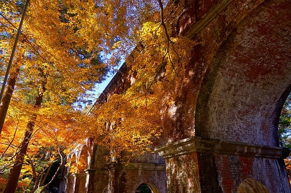 京都 1211 11 25 無料景點的一天 南禪寺 輕旅行