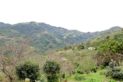輕旅行圖片-1