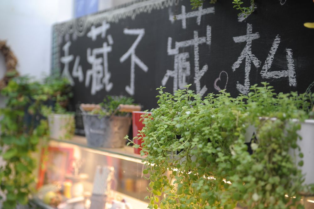 輕旅行圖片-1