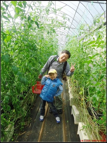 輕旅行圖片-1