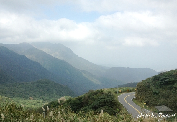 陽明山冷水坑牛奶湖夢幻湖賞秋芒泡溫泉 輕旅行