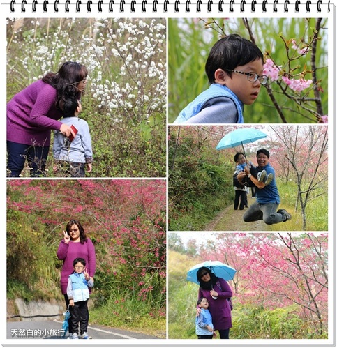 輕旅行圖片-1