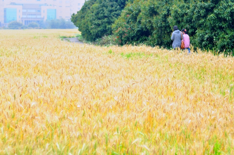 輕旅行圖片-1