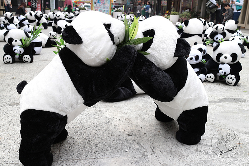 Banbi217 美食旅遊 :台中熊貓裝置藝術展,適合親子的可愛熊貓娃娃(台中一中街)[展期至2014.4.6]