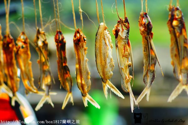 輕旅行圖片-1