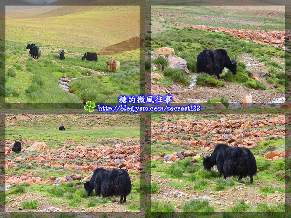 輕旅行圖片-1