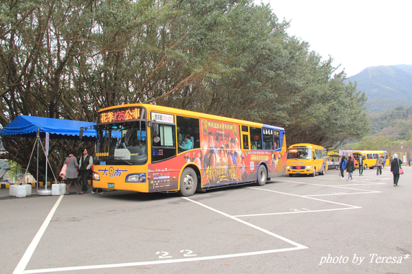 台北市2015陽明山櫻花季櫻花林休閒花園 輕旅行