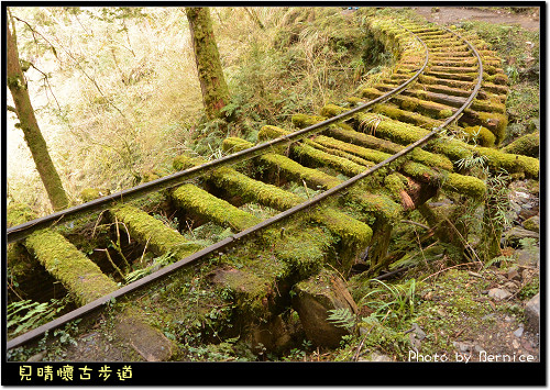 見晴懷古步道~名列全球最美小路,太平山國家森林遊樂區,宜蘭,見晴懷古步道,吊橋-1