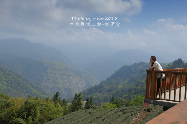 隙頂露營區推薦 嘉義 阿里山 隙頂 二延平步道 傳說村 雲海與雲瀑 Tkdwrn