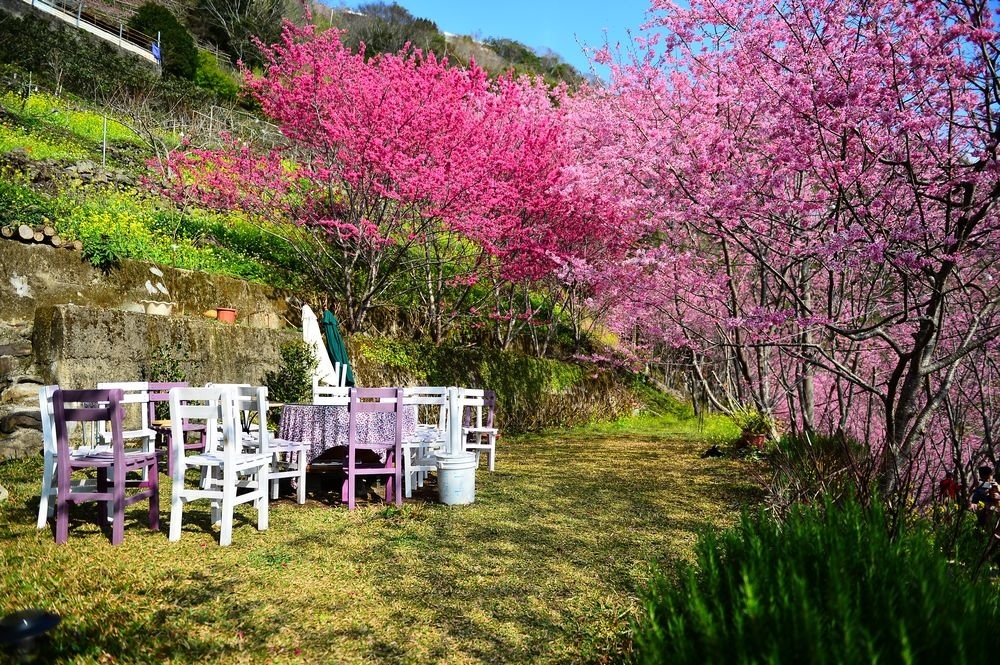 輕旅行圖片-1
