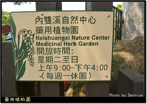 藥用植物園,台北小溪頭,內雙溪自然中心,士林區,步道