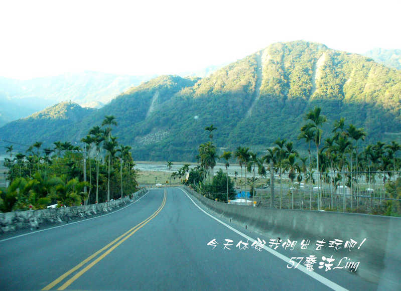 南投 信義 新中橫公路台21線 Oo遊夫妻樹 塔塔加 是新中橫最高點 輕旅行