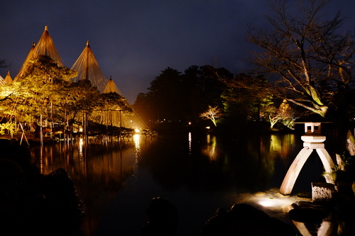 金澤 兼六園的櫻花與雪吊 輕旅行