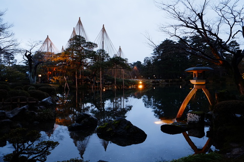 金澤 兼六園的櫻花與雪吊 輕旅行