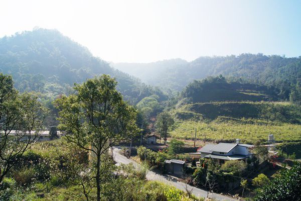 「稻湘村」民宿生態植物園