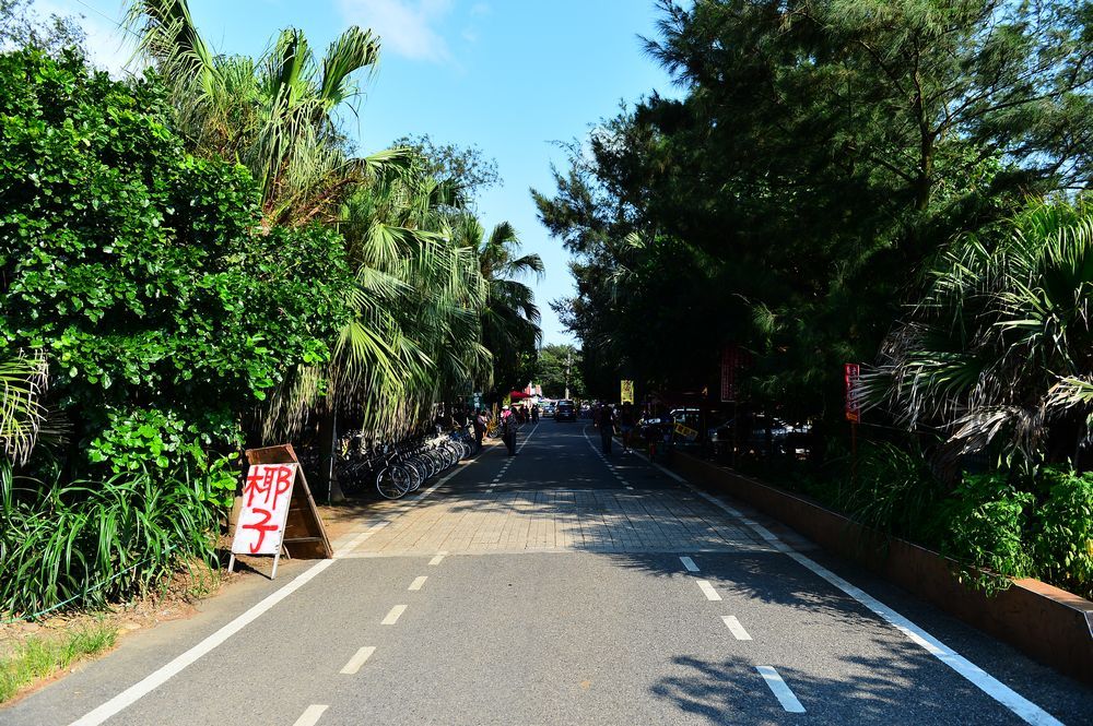 新屋 新屋綠色隧道 綠色走廊 輕旅行