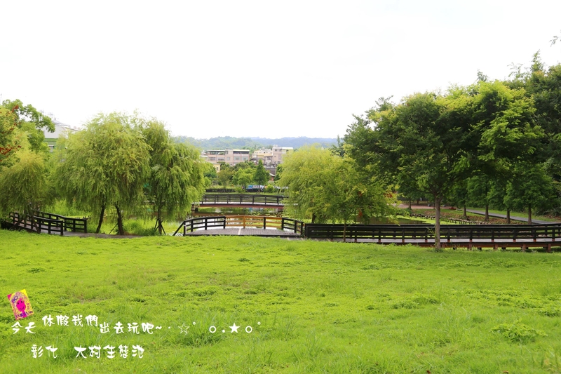 彰化⊙大村]平和村祕密花園(生態池)就好比是中部雲山水- 輕旅行