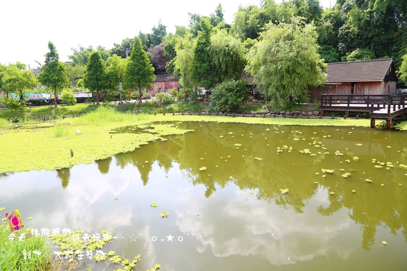 彰化⊙大村]平和村祕密花園(生態池)就好比是中部雲山水- 輕旅行