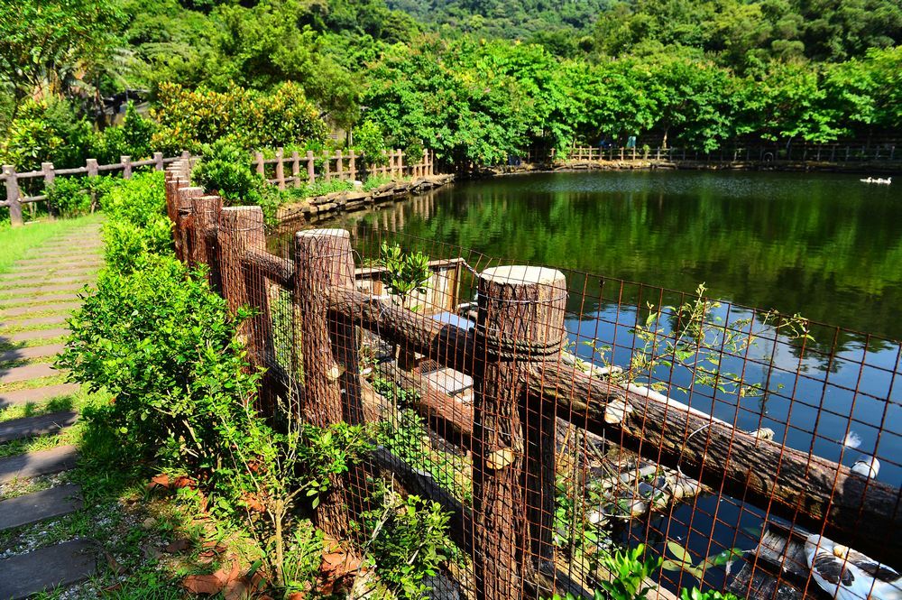 暖暖 賞碟踏青好去處 暖暖苗圃 輕旅行