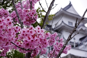 輕旅行圖片-1