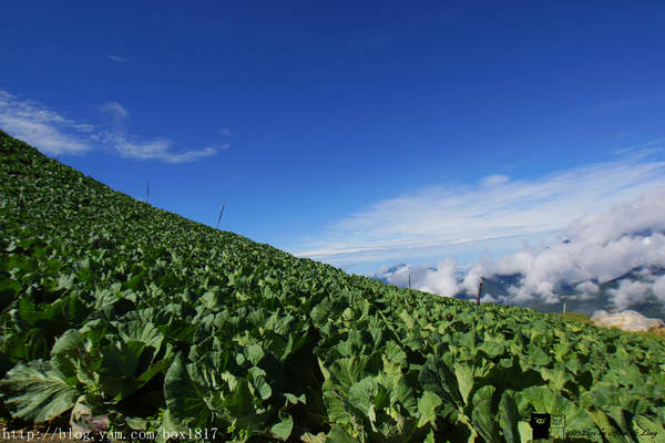 輕旅行圖片-1