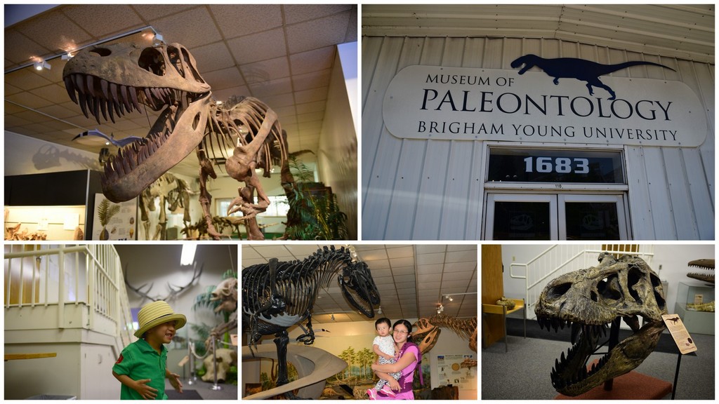 201506楊百翰大學~BYU Museum of Paleontology 免費的好地方,親子,Salt lake City,楊百翰大學,恐龍博物館,美國,鹽湖城-1