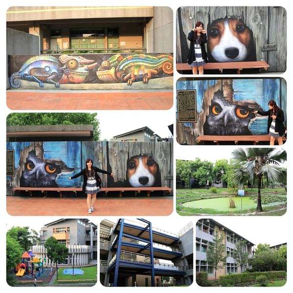 新民國小:【彰化景點】新民國小校園3D彩繪新亮點~貓頭鷹,米格魯,變色龍進入校園囉