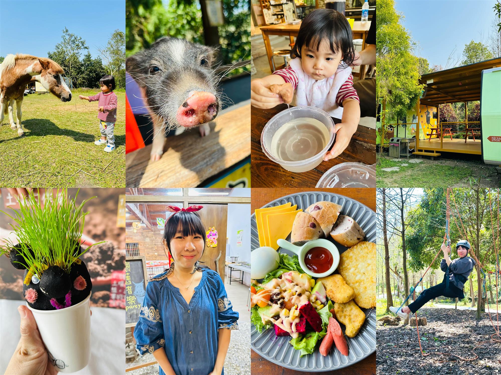 築夢森旅:嘉義懶人露營推薦,親子DIY、生態探索,與動物近距離接觸 嘉義,中埔,露營車,豪華露營,懶人露營